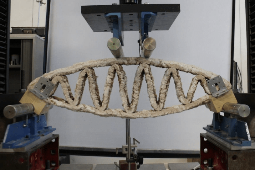 Bio-based 3D printing and testing of a digitally designed structural&nbsp;element